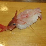 ていね鯉寿し - 