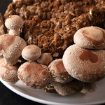 黒金29 - とれたてしいたけ