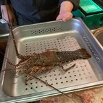 ステーキ・海鮮　リヤン・ド・ファミーユ - 冷蔵仮死状態に串打ちされた伊勢海老