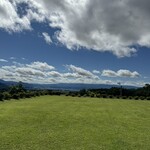 地粉や - テラス席からの景色