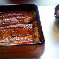 鰻割烹 伊豆栄 不忍亭 - 鰻重（梅）