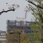 木村家のたいやき - 姫路城(2016年4月19日)