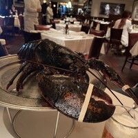ウルフギャング・ステーキハウス 六本木 - 