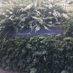 エグ・ヴィヴ - 