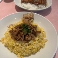 シェフス -  シェフス -