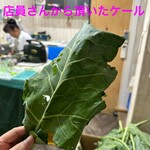 阿佐ケ谷青汁スタンド - 生ケールだす！！