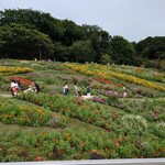 藤家 - 里山ガーデンをお散歩