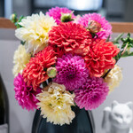 おかしやうっちー - 店内