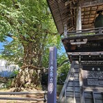 旅館花屋 - 川口松太郎の小説「愛染かつら」のモデルとなったご霊木