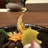 弧柳 - 