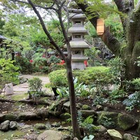 とうふ屋うかい 鷺沼店 -  とうふ屋うかい 鷺沼店 -
