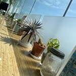 シーバーズカフェ - 