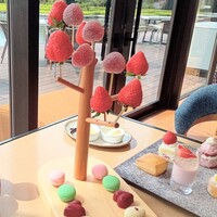 Indigo Home Kitchen Yamateras - スイーツ