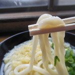 Fujimi Udon - 温かいうどんは、やはり少～し麺が柔らかい