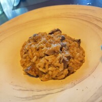 タケル クインディチ(LOQUAT) 西伊豆 - 