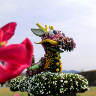 カフェ デ ラ ピエドゥ_2