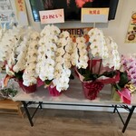 MegAiba - 開店祝い花