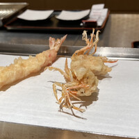 京都祇園 天ぷら圓堂 大丸心斎橋店 - 