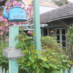 Kafe Andante - 