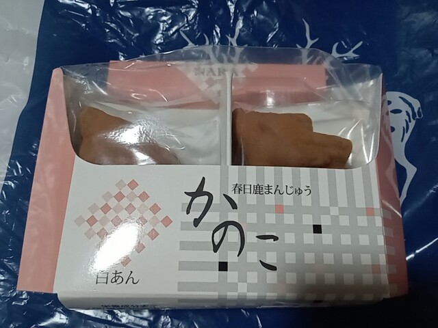 Nara Miyakoji photo 3