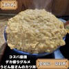 石かわうどん