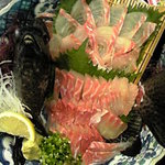 お食事処たかせ - イシガキダイの活き造り。尾がまだ動いてました。歯を見るとスゴイ！