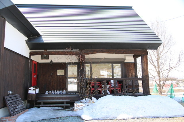 こんぺい草 - 美瑛町その他（その他）の写真