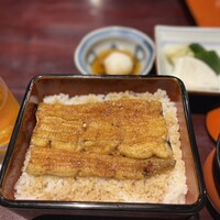 五代目 野田岩 麻布飯倉本店 - 