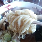 中華そば処 琴平荘 - 麺2014