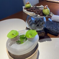 リストランテ スギヤマ - 