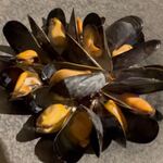 レストラン TIN’IN - ムール貝は最高です