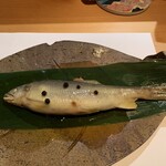 おいっちゃ - 子持ち鮎のコンフィ
