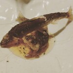 神楽坂 石かわ - 