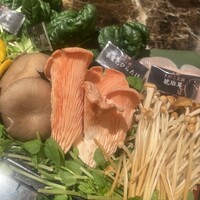 Shangri-La's secret ROPPONGI - 