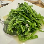 胖鴨 まるまるかも - 