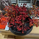 山の仙人 淳  - 仙人酒ばっかりなので花