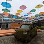 ボンサイ カフェ - 