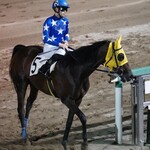 食事処　七福 - しあわせ掴んだベルちゃん