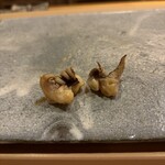 すし処 睦月 - 新いかげそ、生と焼いて