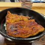 勢麟 - 天然鰻の丼（ご飯の量は選べます）　