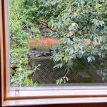 Restaurant Caravansarai - 