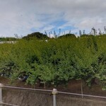 Restaurant Caravansarai - 