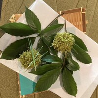 閑臥庵 - 