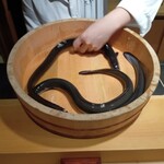 うなぎと炭焼 久松 - 鰻デモンストレーション