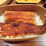 うなぎと炭焼 久松 - 鰻重（上が天然鰻、下が養殖鰻）
