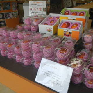 アンファーム_0