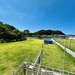 with dog coffee - ドッグラン