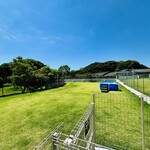 with dog coffee - ドッグラン