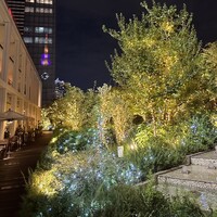セストセンソ 新宿タカシマヤ店 - 