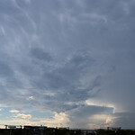 NIBOSHI MANIA - 秋空